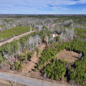 Photo #32 of SOLD property in 2391 Pine Grove Church Road, Eagle Springs, NC 10.1 acres