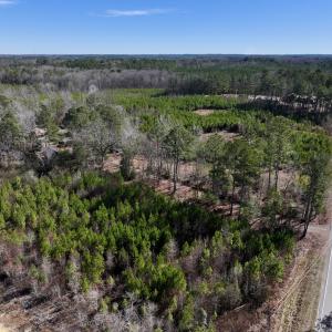 Photo #38 of SOLD property in 2391 Pine Grove Church Road, Eagle Springs, NC 10.1 acres