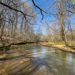 Photo #4 of SOLD property in Off Grier Church Road, Leasburg, NC 11.0 acres
