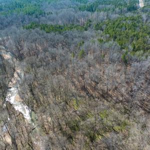 Photo #5 of SOLD property in Off Grier Church Road, Leasburg, NC 11.0 acres