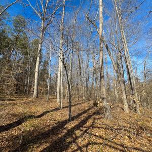 Photo #7 of SOLD property in Off Grier Church Road, Leasburg, NC 11.0 acres