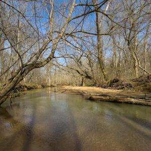 Photo #8 of SOLD property in Off Grier Church Road, Leasburg, NC 11.0 acres