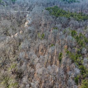 Photo #9 of SOLD property in Off Grier Church Road, Leasburg, NC 11.0 acres