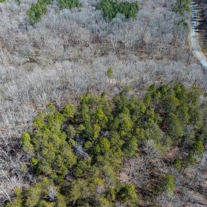 Photo #12 of SOLD property in Off Grier Church Road, Leasburg, NC 11.0 acres