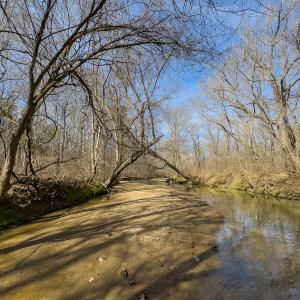 Photo #13 of SOLD property in Off Grier Church Road, Leasburg, NC 11.0 acres