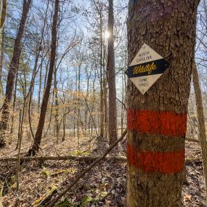Photo #17 of SOLD property in Off Grier Church Road, Leasburg, NC 11.0 acres