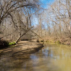Photo #21 of SOLD property in Off Grier Church Road, Leasburg, NC 11.0 acres