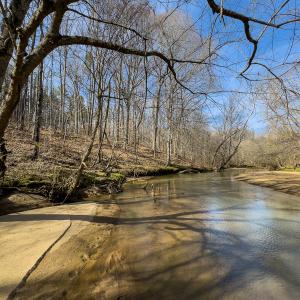 Photo #30 of SOLD property in Off Grier Church Road, Leasburg, NC 11.0 acres
