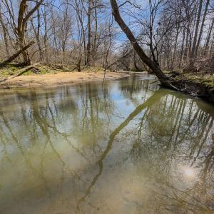 Photo #35 of SOLD property in Off Grier Church Road, Leasburg, NC 11.0 acres