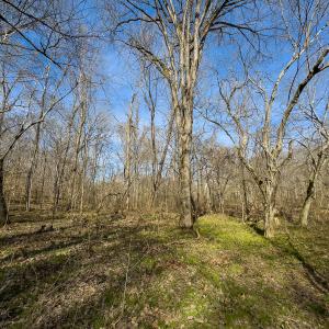 Photo #36 of SOLD property in Off Grier Church Road, Leasburg, NC 11.0 acres