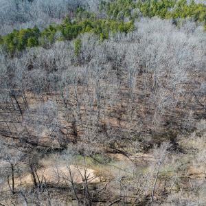 Photo #40 of SOLD property in Off Grier Church Road, Leasburg, NC 11.0 acres
