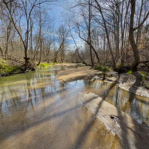Photo #41 of SOLD property in Off Grier Church Road, Leasburg, NC 11.0 acres