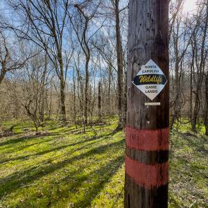 Photo #42 of SOLD property in Off Grier Church Road, Leasburg, NC 11.0 acres