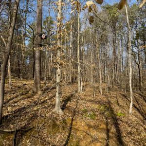 Photo #44 of SOLD property in Off Grier Church Road, Leasburg, NC 11.0 acres