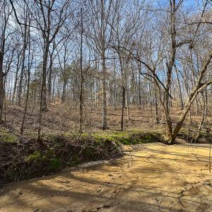 Photo #45 of SOLD property in Off Grier Church Road, Leasburg, NC 11.0 acres