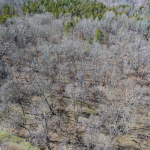 Photo #46 of SOLD property in Off Grier Church Road, Leasburg, NC 11.0 acres