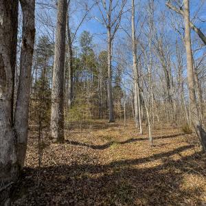 Photo #49 of SOLD property in Off Grier Church Road, Leasburg, NC 11.0 acres