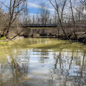 Photo #50 of SOLD property in Off Grier Church Road, Leasburg, NC 11.0 acres