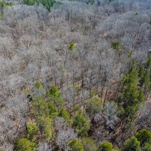 Photo #51 of SOLD property in Off Grier Church Road, Leasburg, NC 11.0 acres