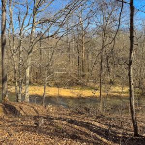 Photo #52 of SOLD property in Off Grier Church Road, Leasburg, NC 11.0 acres