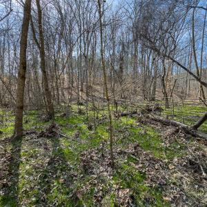 Photo #54 of SOLD property in Off Grier Church Road, Leasburg, NC 11.0 acres