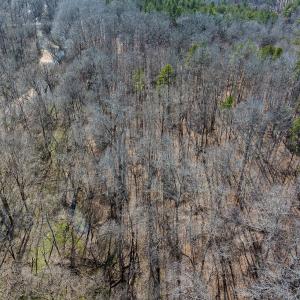 Photo #55 of SOLD property in Off Grier Church Road, Leasburg, NC 11.0 acres