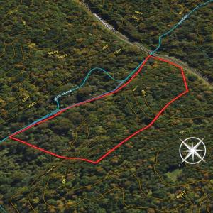 Photo #56 of SOLD property in Off Grier Church Road, Leasburg, NC 11.0 acres