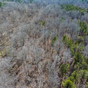 Photo #57 of SOLD property in Off Grier Church Road, Leasburg, NC 11.0 acres