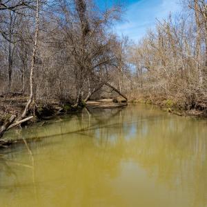 Photo #59 of SOLD property in Off Grier Church Road, Leasburg, NC 11.0 acres