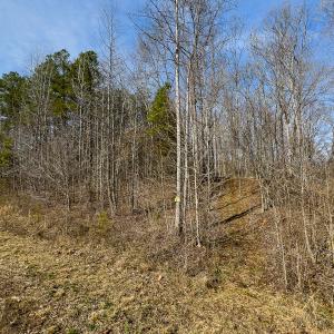 Photo #61 of SOLD property in Off Grier Church Road, Leasburg, NC 11.0 acres