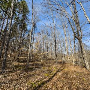 Photo #63 of SOLD property in Off Grier Church Road, Leasburg, NC 11.0 acres