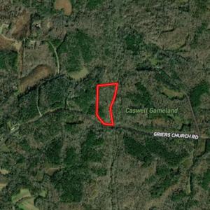 Photo #64 of SOLD property in Off Grier Church Road, Leasburg, NC 11.0 acres