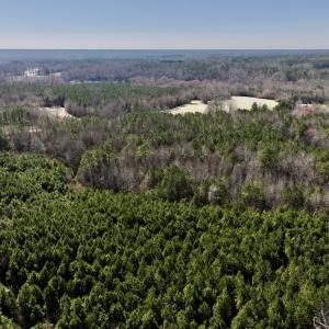 Photo #11 of SOLD property in Off Peachtree Hills Road, Spring Hope, NC 11.0 acres