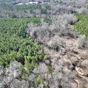 Photo #12 of SOLD property in Off Peachtree Hills Road, Spring Hope, NC 11.0 acres