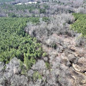 Photo #13 of SOLD property in Off Peachtree Hills Road, Spring Hope, NC 11.0 acres