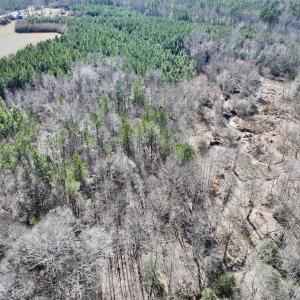 Photo #14 of SOLD property in Off Peachtree Hills Road, Spring Hope, NC 11.0 acres