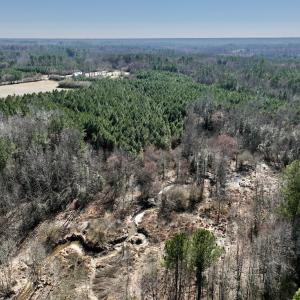 Photo #15 of SOLD property in Off Peachtree Hills Road, Spring Hope, NC 11.0 acres