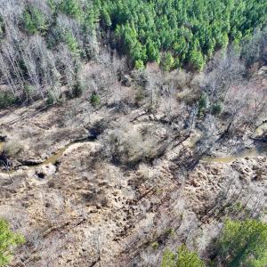 Photo #16 of SOLD property in Off Peachtree Hills Road, Spring Hope, NC 11.0 acres