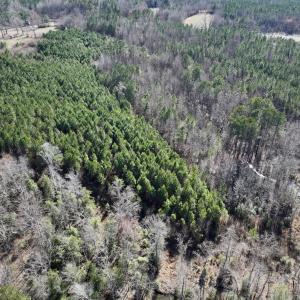Photo #17 of SOLD property in Off Peachtree Hills Road, Spring Hope, NC 11.0 acres