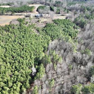 Photo #18 of SOLD property in Off Peachtree Hills Road, Spring Hope, NC 11.0 acres