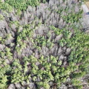 Photo #19 of SOLD property in Off Peachtree Hills Road, Spring Hope, NC 11.0 acres