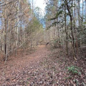 Photo #20 of SOLD property in Off Peachtree Hills Road, Spring Hope, NC 11.0 acres
