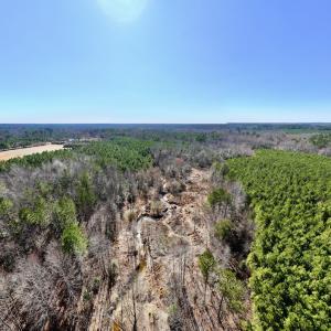 Photo #3 of SOLD property in Off Peachtree Hills Road, Spring Hope, NC 11.0 acres