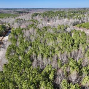 Photo #7 of SOLD property in Off Peachtree Hills Road, Spring Hope, NC 11.0 acres