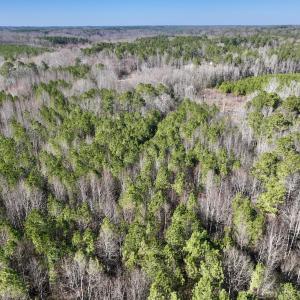 Photo #8 of SOLD property in Off Peachtree Hills Road, Spring Hope, NC 11.0 acres
