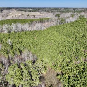 Photo #9 of SOLD property in Off Peachtree Hills Road, Spring Hope, NC 11.0 acres