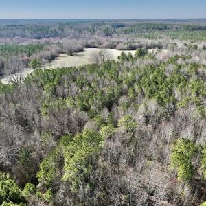 Photo #10 of SOLD property in Off Peachtree Hills Road, Spring Hope, NC 11.0 acres