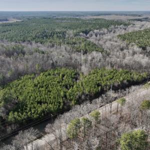 Photo #10 of SOLD property in Off Highway 58, Warrenton, NC 9.6 acres