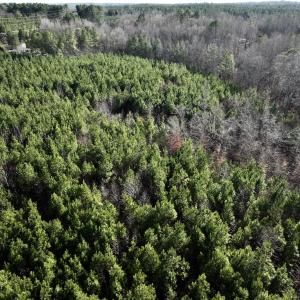 Photo #11 of SOLD property in Off Highway 58, Warrenton, NC 9.6 acres