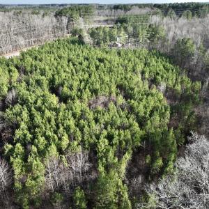 Photo #12 of SOLD property in Off Highway 58, Warrenton, NC 9.6 acres